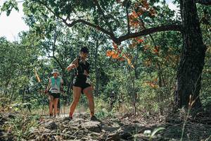 BIB: 
                            <button type="button" onclick="openModal(26110748)" class="btn btn-primary btn-sm float-right btn-popup" data-toggle="modal" data-target=".modal-high-quality">
                        <i class="fas fa-shopping-cart"></i> Add to Cart
                    </button>
                                            <button type="button" onclick="isThisMe(26110748, true)" class="btn btn-success btn-sm float-right btn-popup btn-isme hidden" data-toggle="tooltip" data-placement="bottom" title="นี่คือรูปของคุณใช่ไหม คลิกที่นี่เพื่อเอาเข้าอัลบั้ม">
                        <i class="fas fa-plus"></i> Add to album
                    </button>
                    <button type="button" onclick="isThisMe(26110748, false)" class="btn btn-warning btn-sm float-right btn-popup btn-isnotme hidden">
                        <i class="fas fa-ban"></i> Remove from album
                    </button>